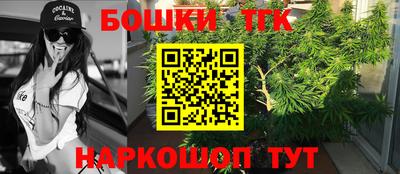 стафф Моздок