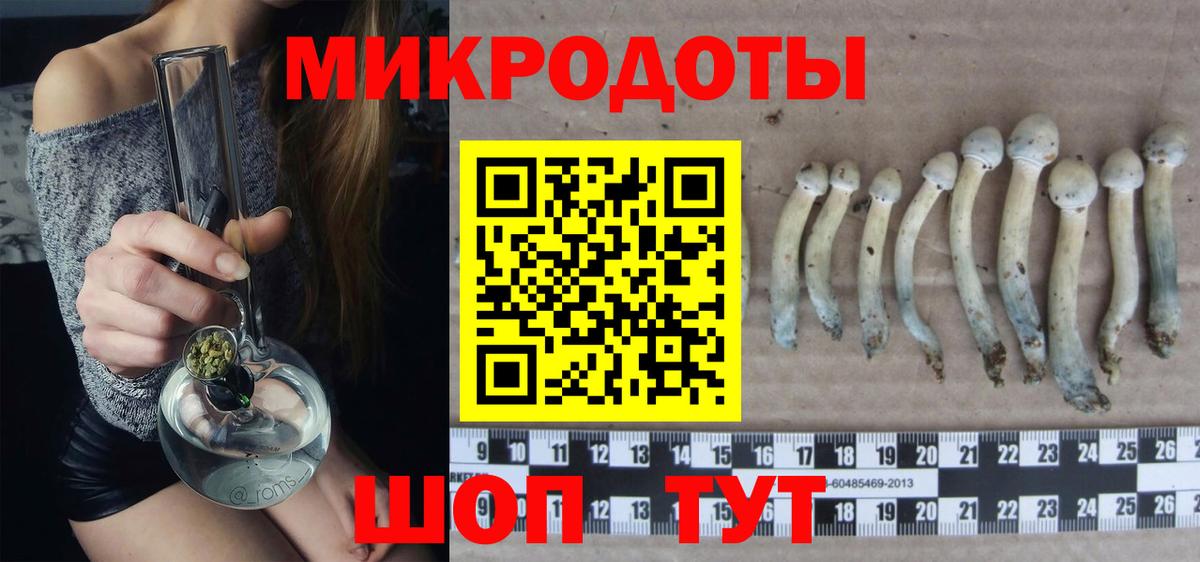 Галлюциногенные грибы Cubensis Саяногорск
